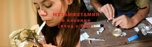 шишки Туринск