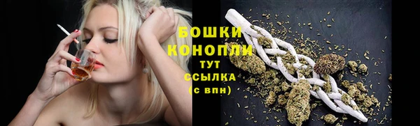 гашик Карталы