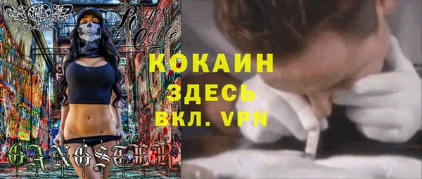 гашик Карталы